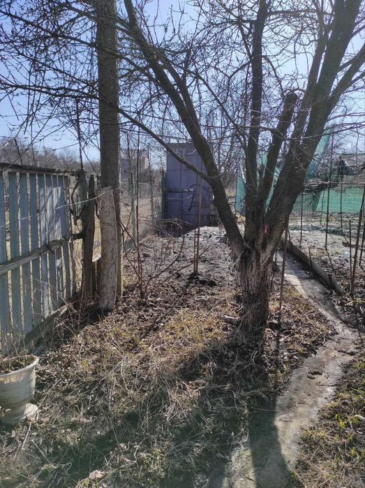 Продам дачу Нова Павлівка