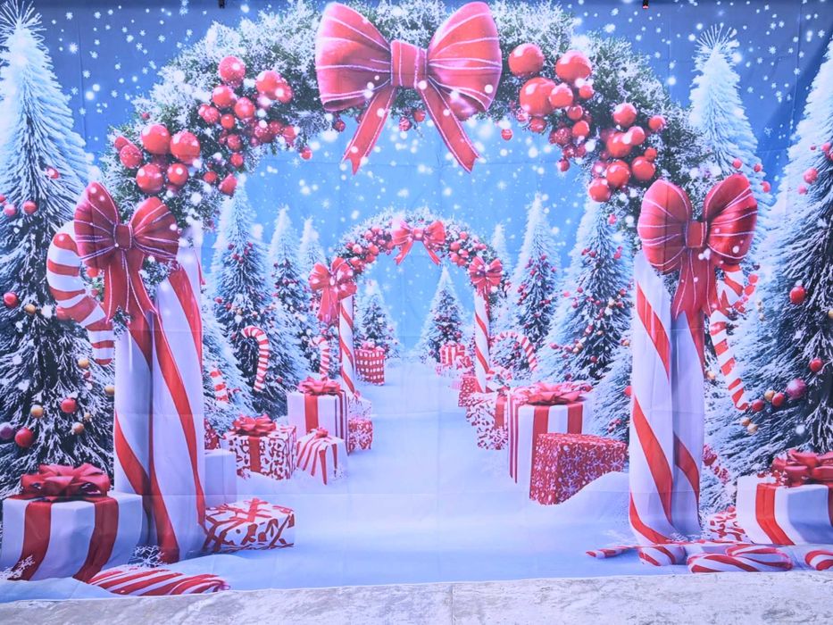 Fundo Fotográfico Natal