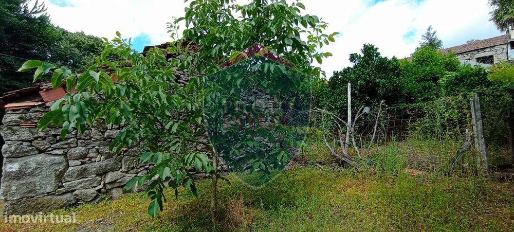 Terreno  Venda em Boa Aldeia, Farminhão e Torredeita,Viseu