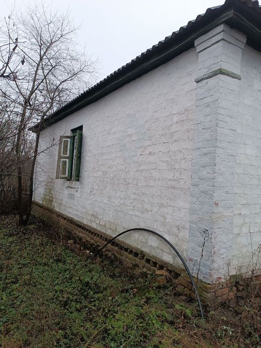 Продам будинок с. Великі Будища