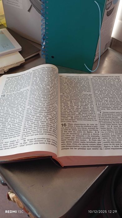 Tradução do Novo Mundo das Escrituras Sagradas