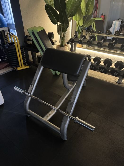 Banco musculação biceps