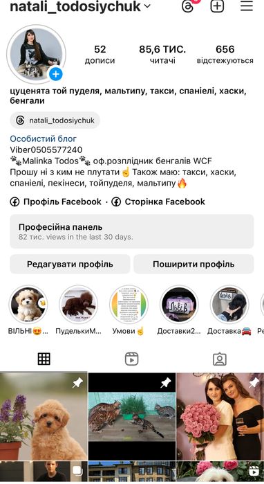 Бомбезний мальтіпу, червоний хлопчик
