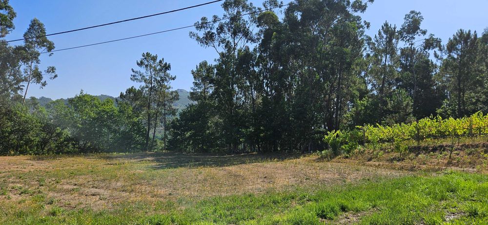 Terreno agrícola com 8.700 m² em Basto (S. Clemente), Celorico de Basto