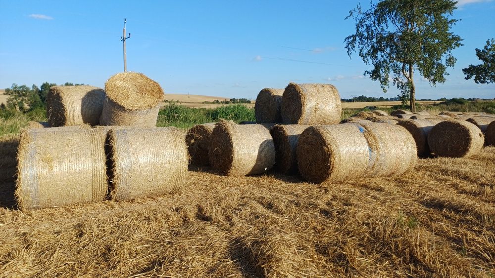 Baloty -słoma 130 /140