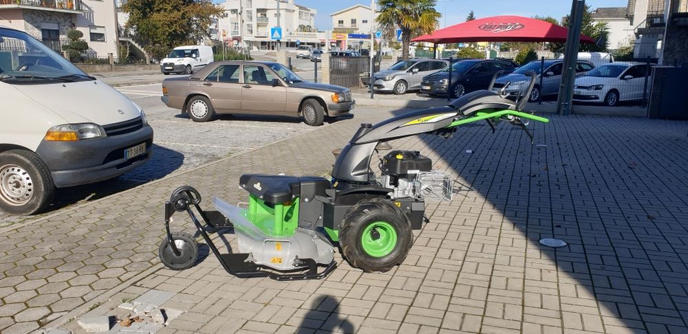 Manutenção de jardins serviço de rachado ador,  motosserra e roçadora