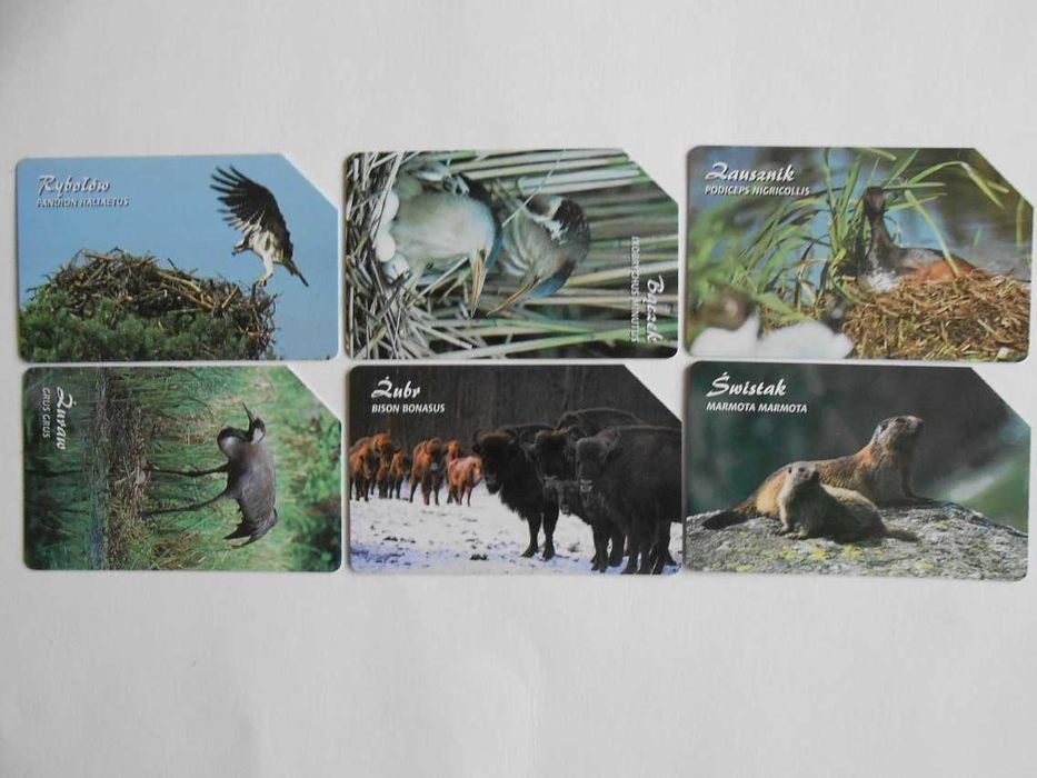 Karty telefoniczne „Zwierzęta chronione” (karty z nadrukiem)