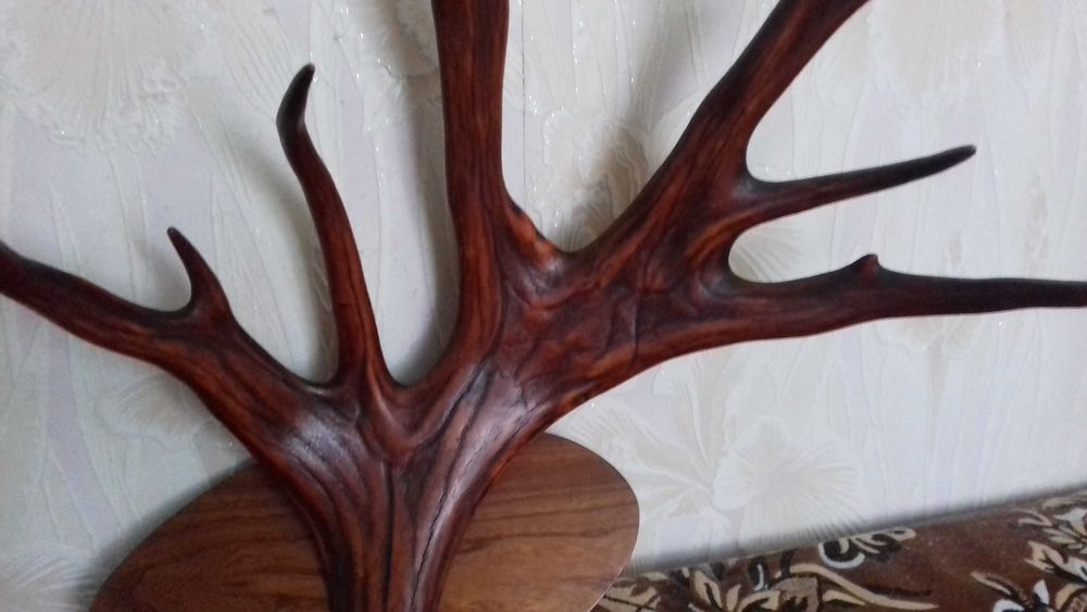 Большой рог старого лося