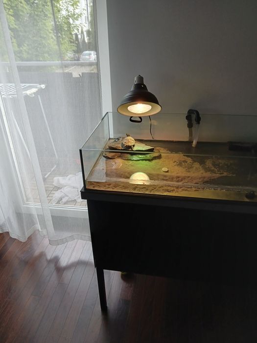 Zestaw  / akwarium wraz ze stołem i wszystkimi dodatkami