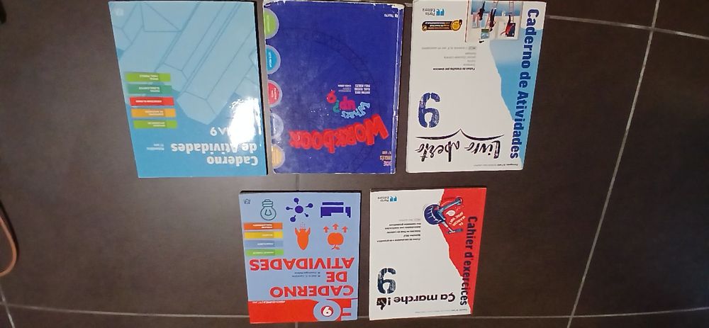Manuais e Livros de fichas do 9°Ano