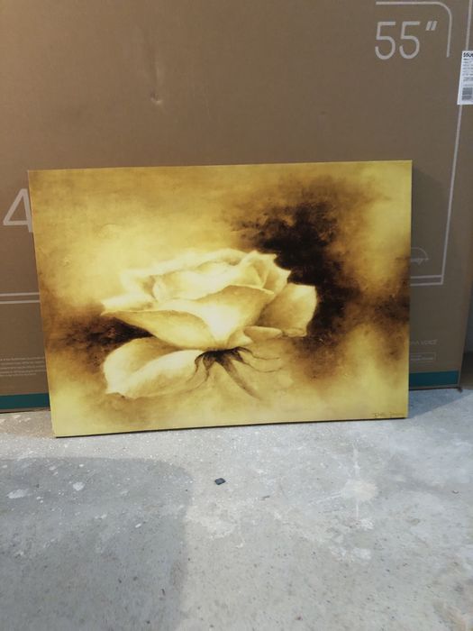 Telas várias tamanho 50x70