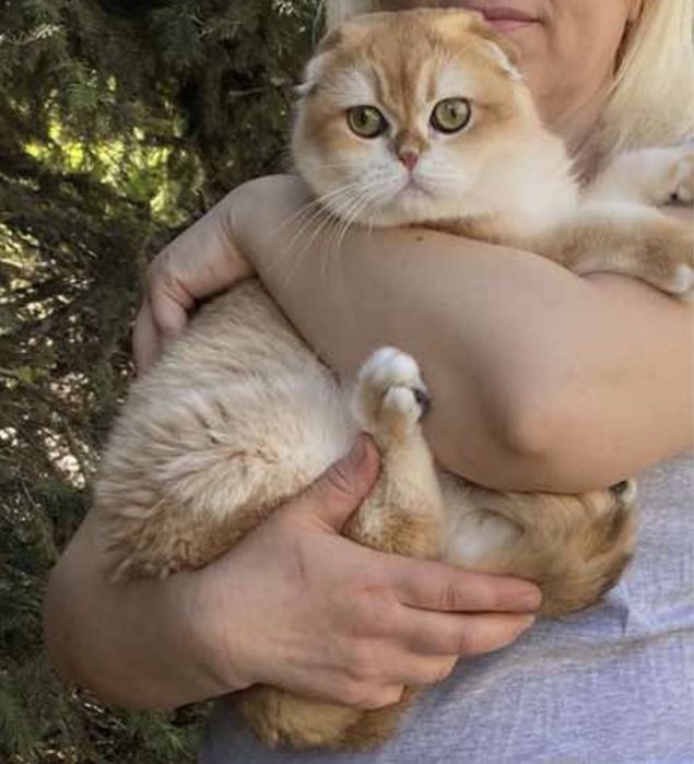 Вязка молодого котика !