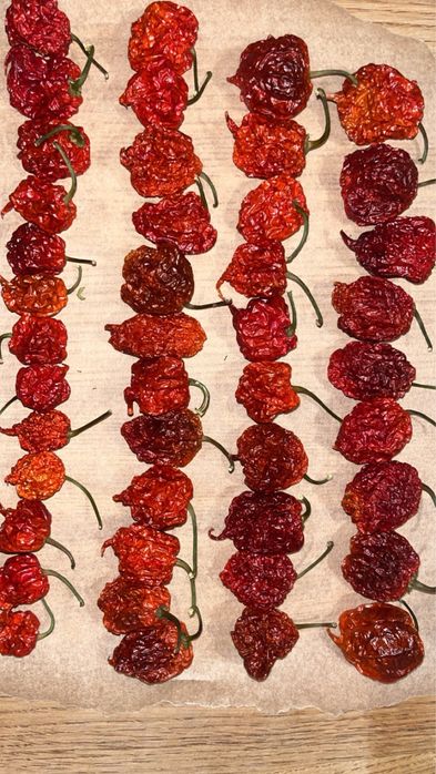 Papryczka carolina reaper (suszona)