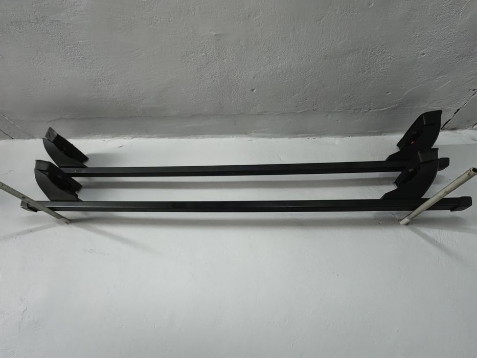 Belki dachowe Taurus