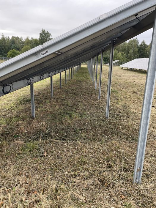 Koszenie, przycinanie  - prace porządkowe