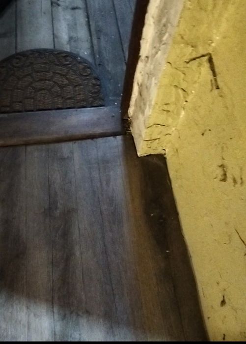 Panele podłogowe za darmo