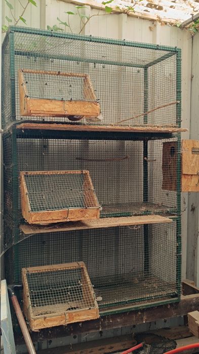 Gaiolas para aves