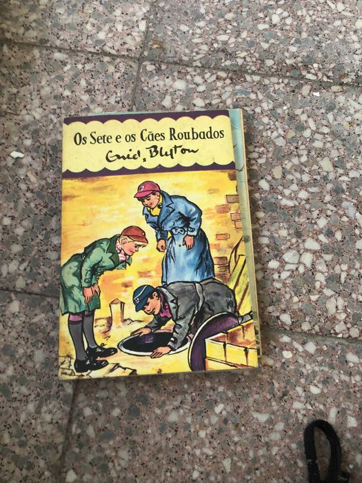 livro os sete e os caes roubados