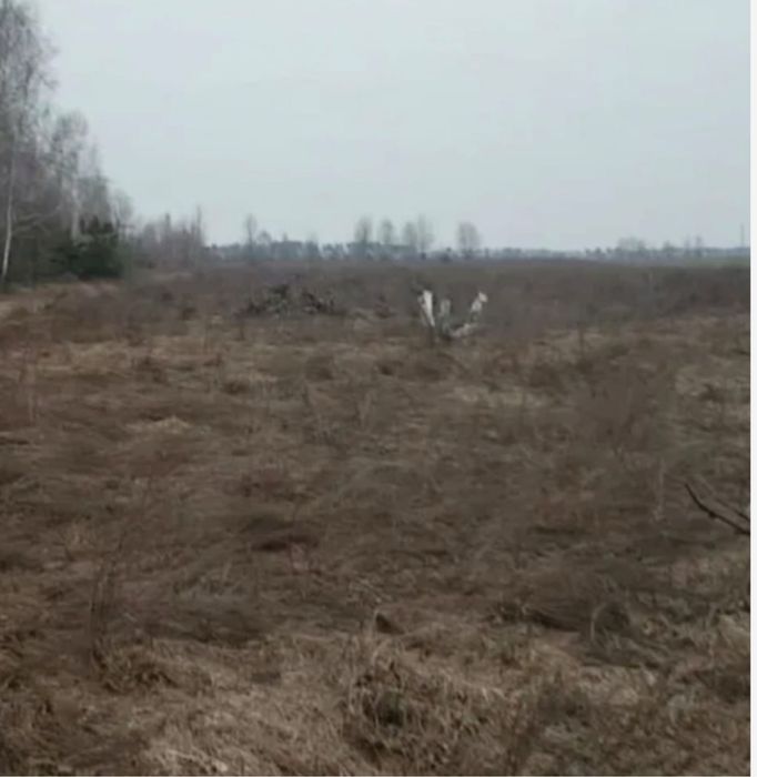 Гарна ділянка під бізнес, Лісовичі 6 га., ОСГ, поряд ліс та озеро, від власника