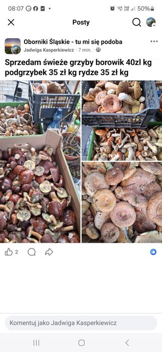 Świeże grzyby na zamówienie