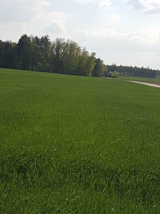 Działki budowlane