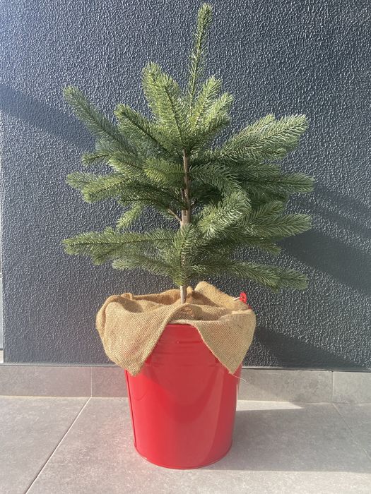 Árvore de natal com balde IKEA