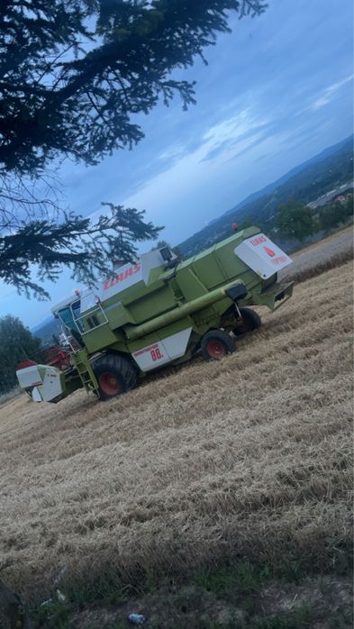 Pszenica owies możliwy  transport