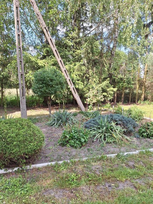 Działka-siedlisko blisko Zgierza