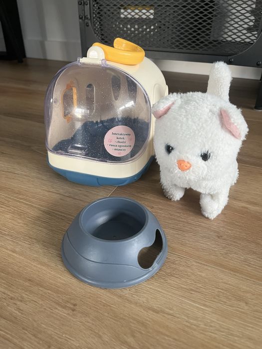 Kot transporter i miska