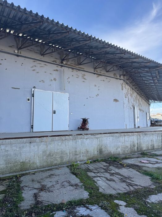 Аренда холодильных складов