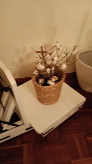 Balança antiga de 1950