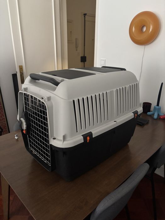 Transportadora Bracco Travel