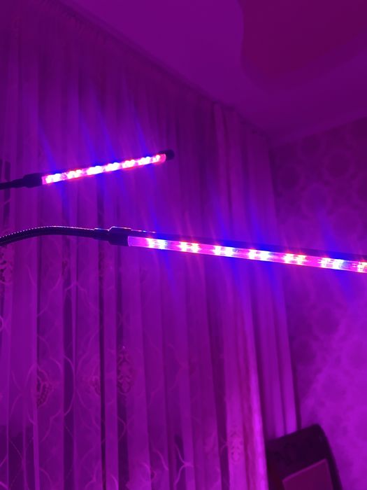 Фітолампа для росту рослин 5 голів Usb