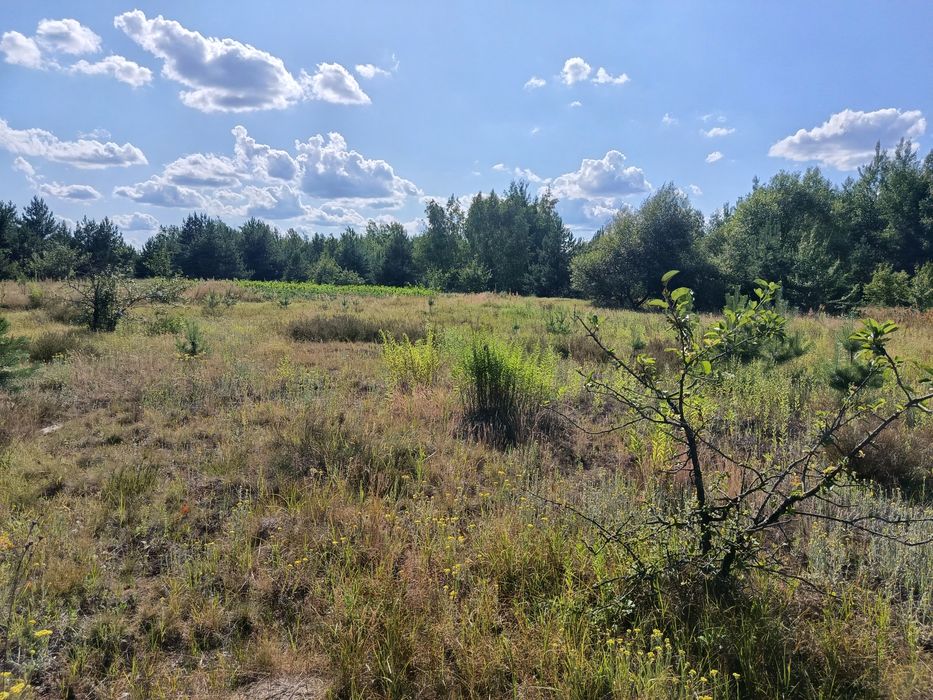 Продам 15-сот під забудову село.Сінгурі р-н новобудов