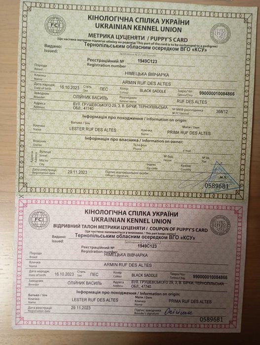 Німецька вівчарка для в'язки, КСУ