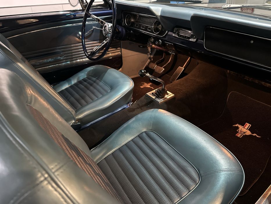 Mustang para ALUGUER ou VENDA