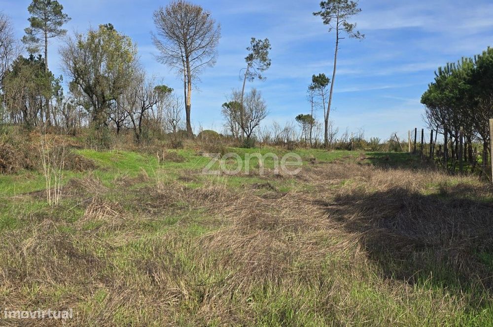 Terreno em Nelas para construção com projeto