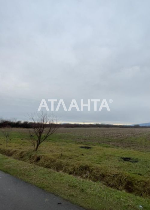 Ділянка в с розівка