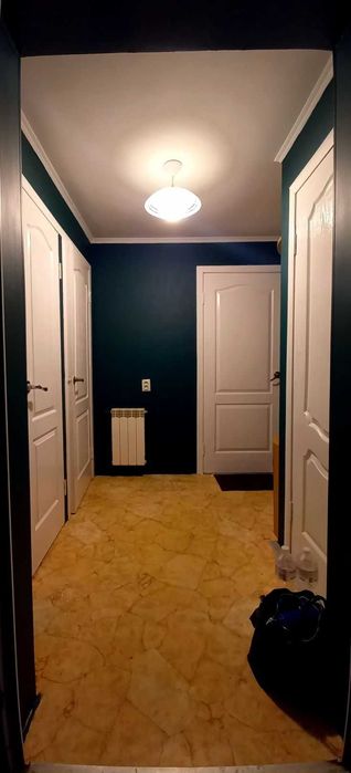 Святопетрівське продаж будинку 60 м2 і ділянка 13 сот вул. Центральна