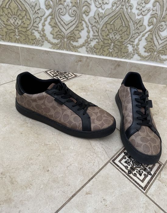 Мужские кеды coach