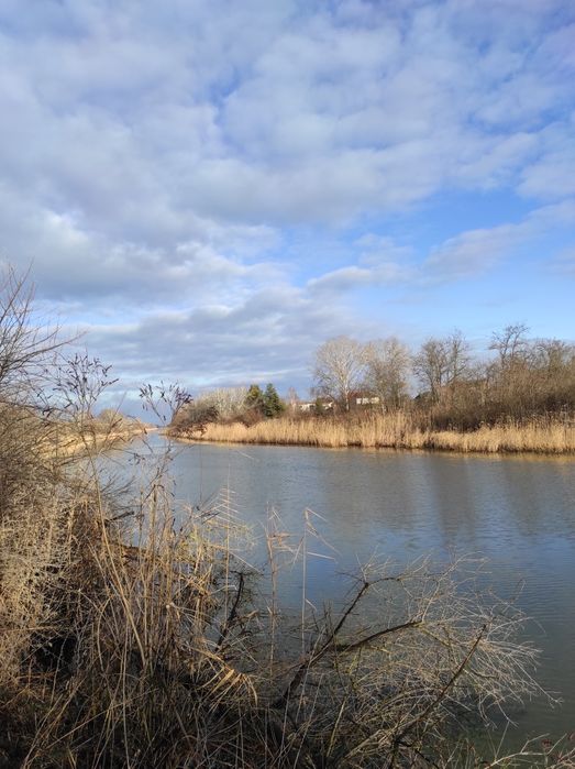 Продам Участок 50 сот.в кировском кооп.Изумруд рядом с р.Орель cо