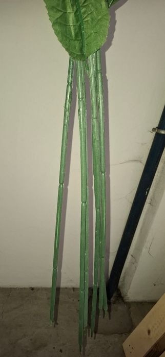 Seis Flores decorativas