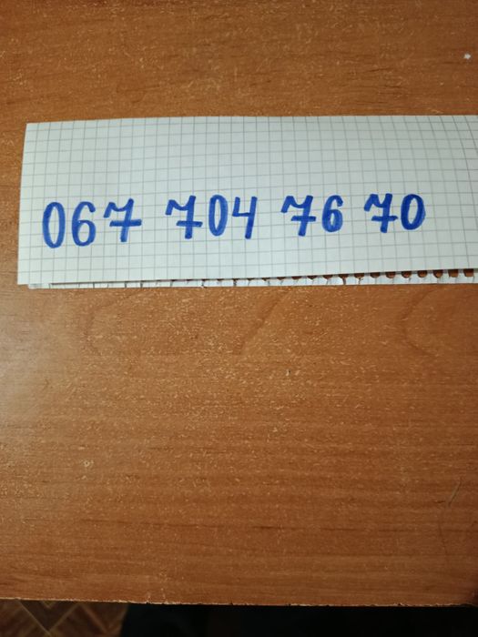 Вислоухий кот вязка