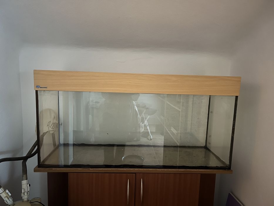 Aquário, Móvel e Filtro