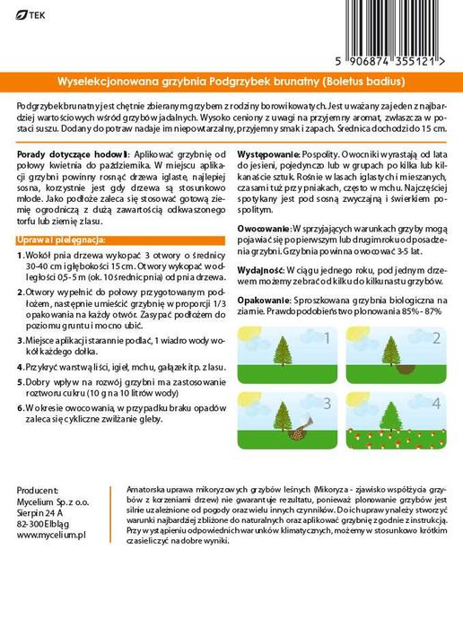 Podgrzybek Brunatny grzybnia grzyby leśne
