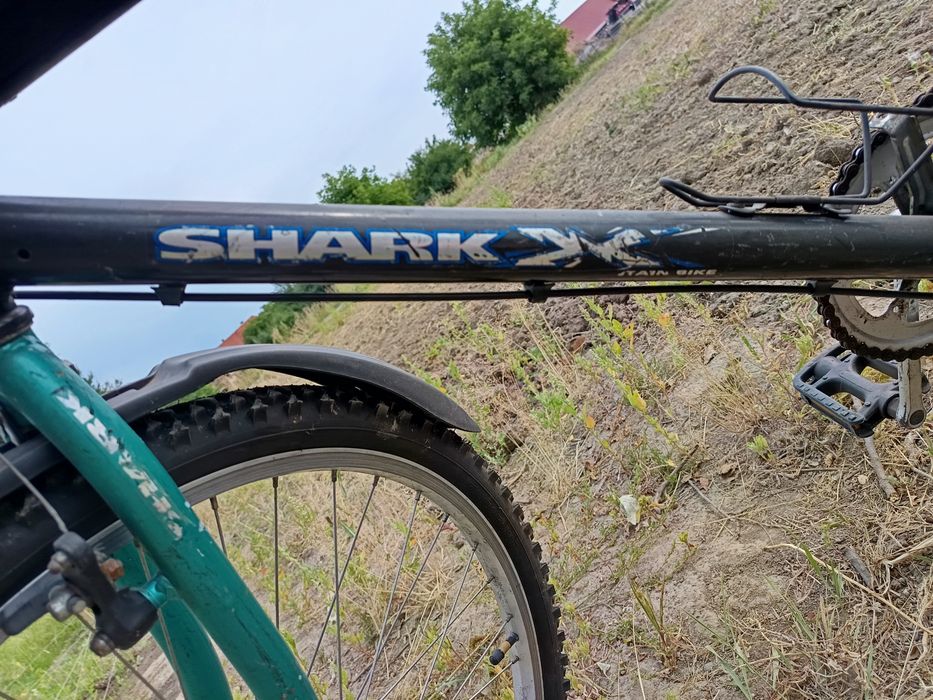 Rower shark mountain bike koła 26 cali 3 biegi