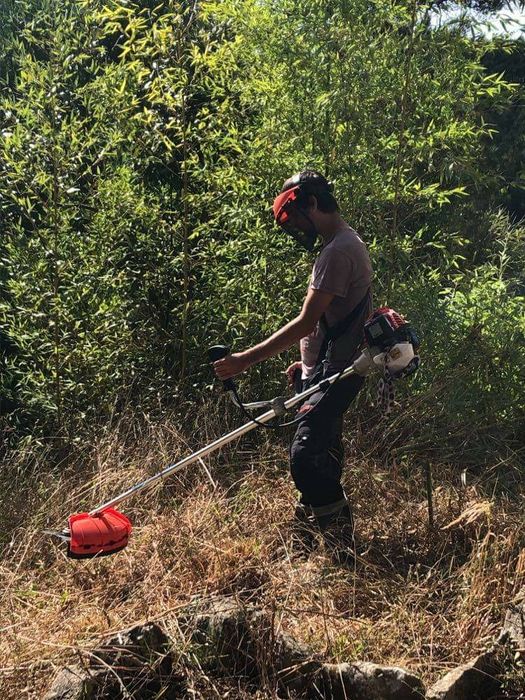 Limpezas de terrenos e jardins