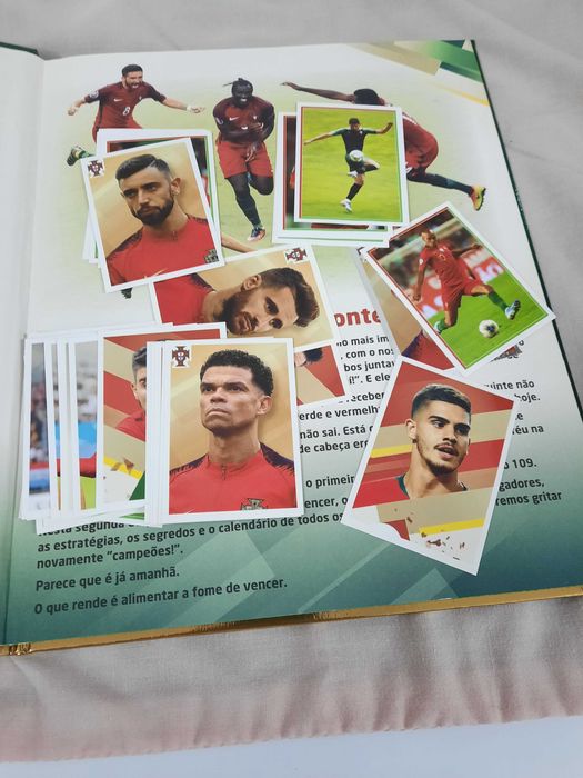 Caderneta Fome de Vencer e cromos