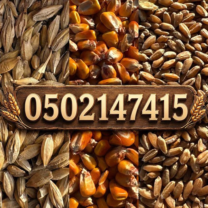 Продам Ячмінь 7гр Пшеницю 6гр , Кукурузу 10 гр