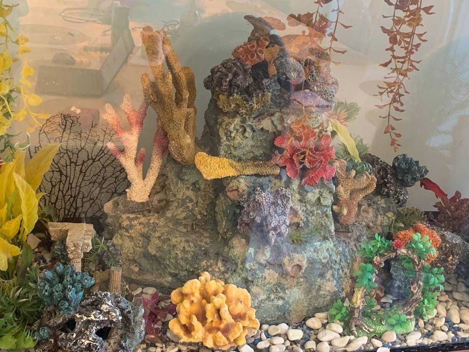 Шара )) морской мир без аквариума